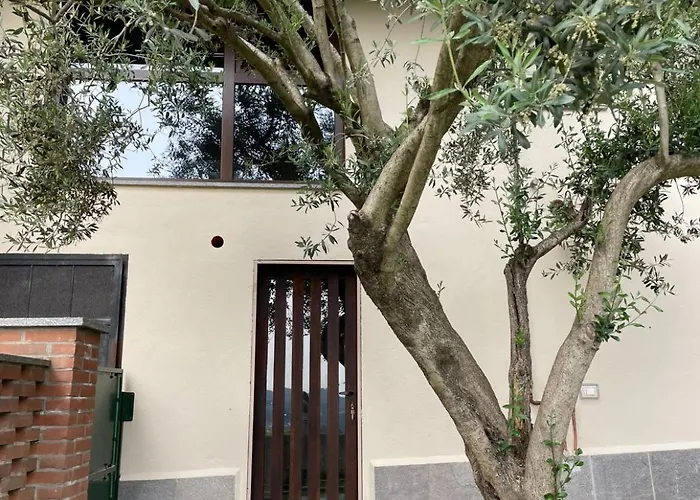 Il Nido Del Ricetto Roppolo